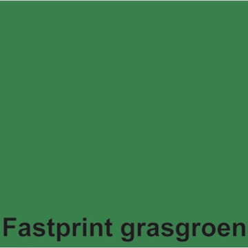 Afbeeldingen van kopieerpapier Fastprint A4 120gr 100vel grasgroen