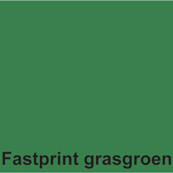 Afbeelding van kopieerpapier Fastprint A4 120gr 100vel grasgroen