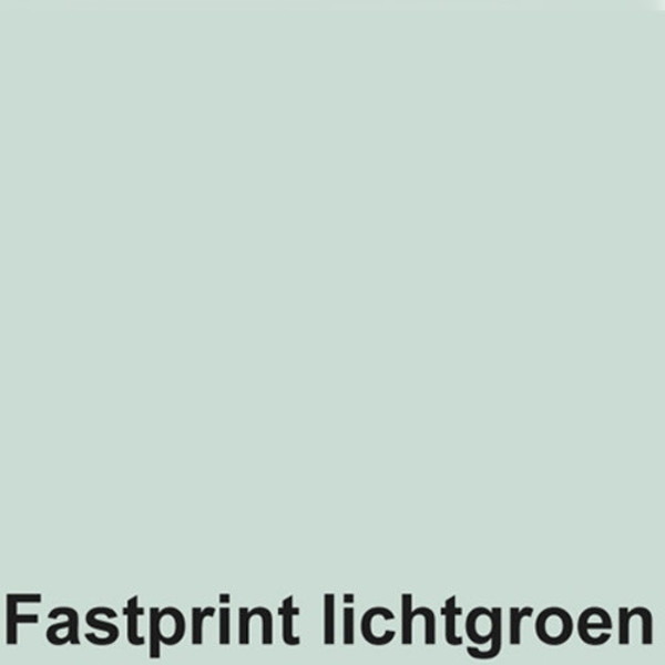 Afbeelding van kopieerpapier Fastprint A4 160gr  50vel lichtgroen