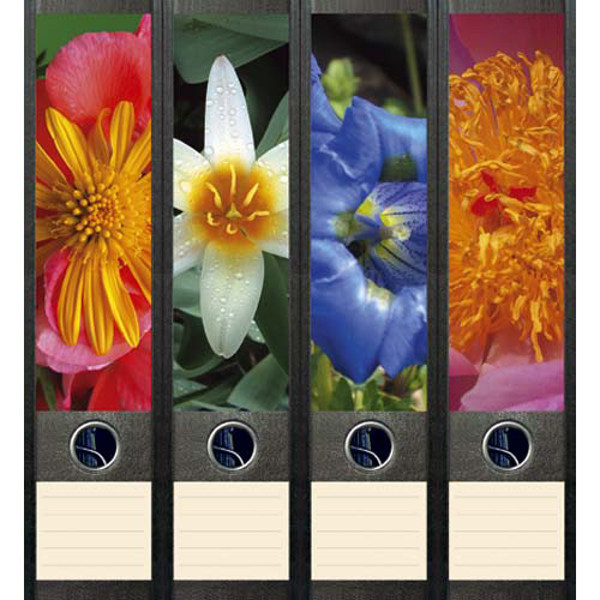 Afbeelding van ordnerrug File Art zelfklevend 4 stuks 60 x 210 mm flowers