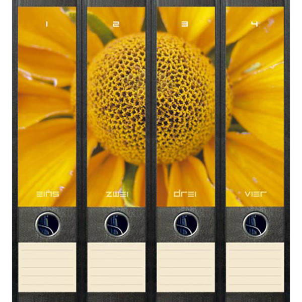 Afbeelding van ordnerrug File Art zelfklevend 4 stuks 60 x 210 mm sunflower