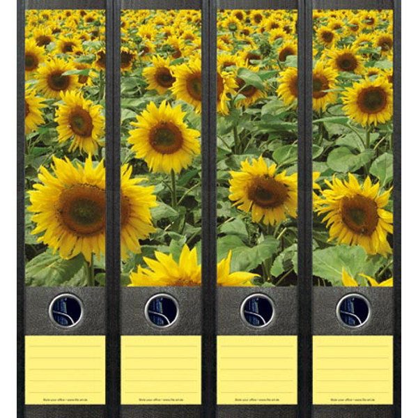 Afbeelding van ordnerrug File Art zelfklevend 4 stuks 60 x 210 mm sunflower field