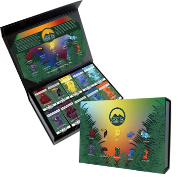 Monteverde inktpot Jungle gift set 10 kleuren 30ml.