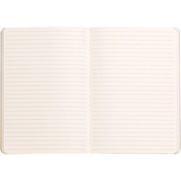 Rhodia Rhodiarama A5 gelijnd Softcover - Anise