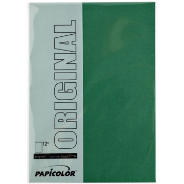 Papicolor Original A4 105g 12vel dennengroen