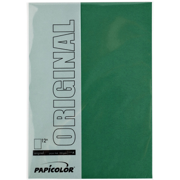 Papicolor Original A4 105g 12vel dennengroen