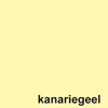 kopieerpapier Quantore Colour A4 120gr 100vel kanariegeel