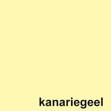 kopieerpapier Quantore Colour A4 120gr 100vel kanariegeel