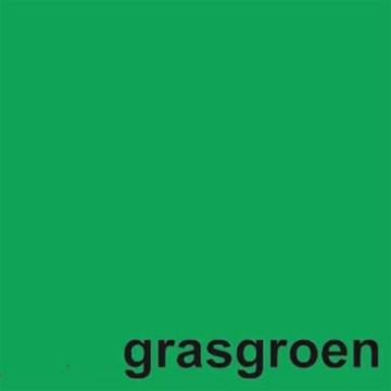 kopieerpapier Quantore Colour A4 160gr 50vel grasgroen